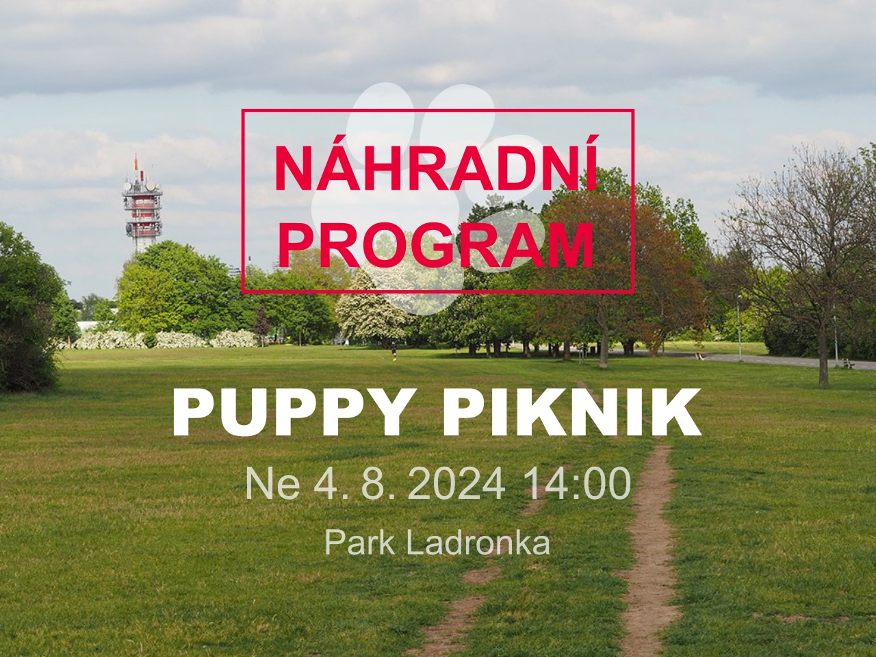 Frisbee piknik (náhradní program) - 2024-08-04T15:30 - Liliová čajovna - Karlín